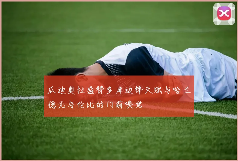 瓜迪奥拉盛赞多库边锋天赋与哈兰德无与伦比的门前嗅觉